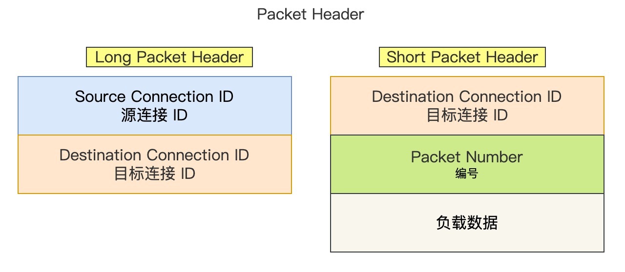 Packet Header