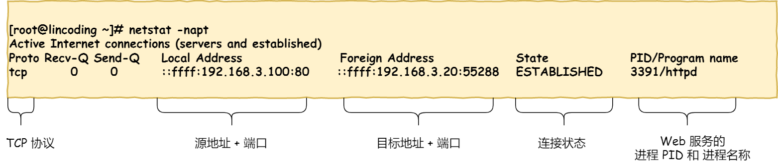 TCP 连接状态查看