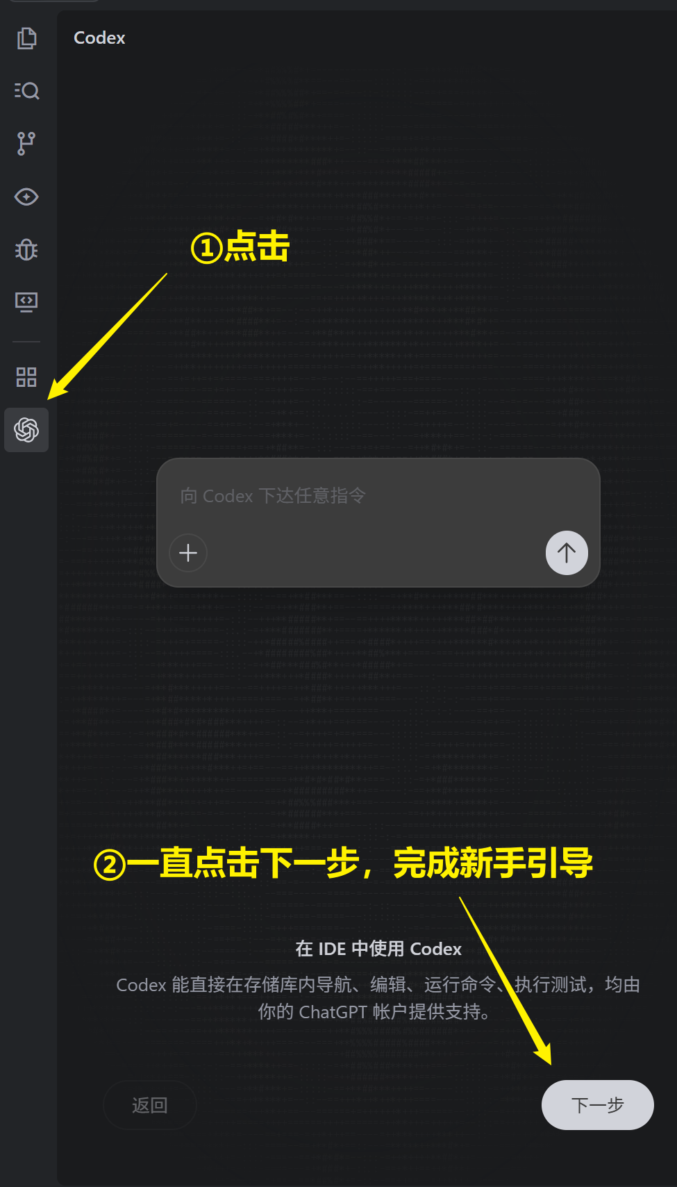 Codex使用教程 - 进入Codex登录页面