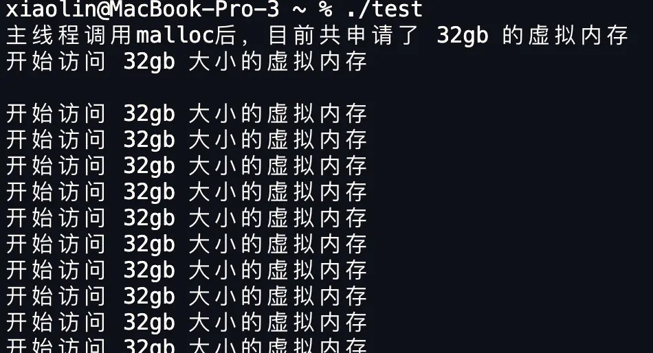 在 4GB 物理内存的机器上，申请 8G 内存会怎么样？