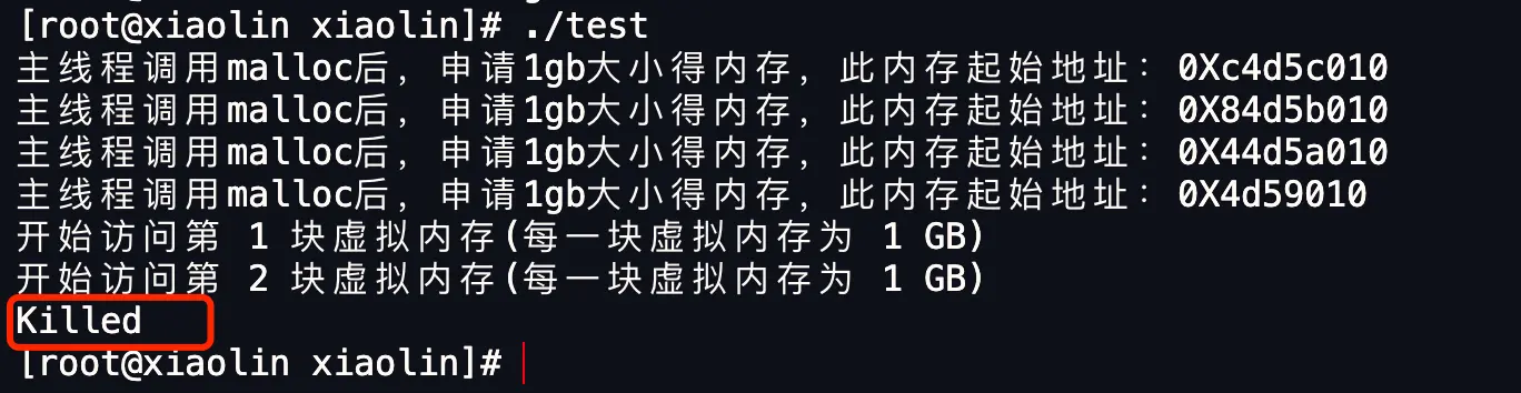 在 4GB 物理内存的机器上，申请 8G 内存会怎么样？