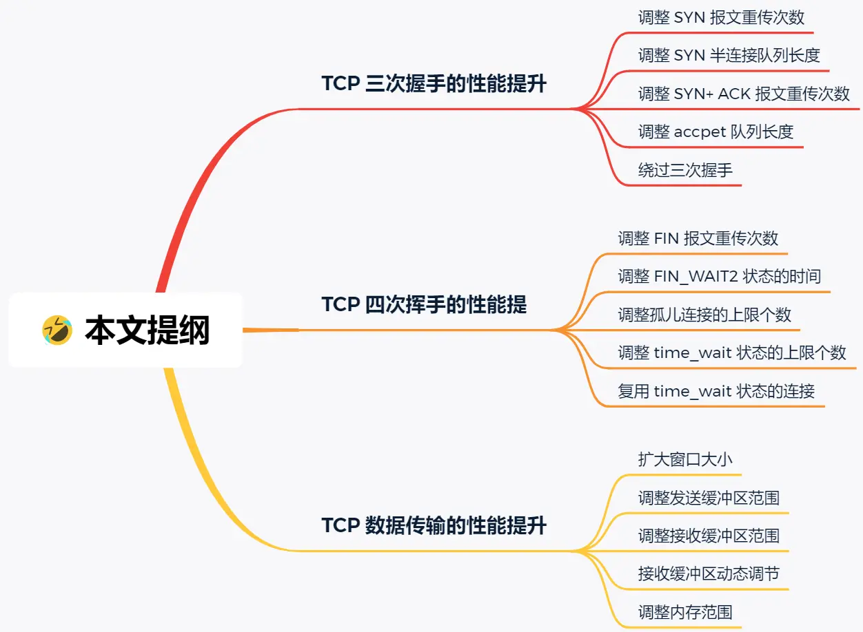 大纲