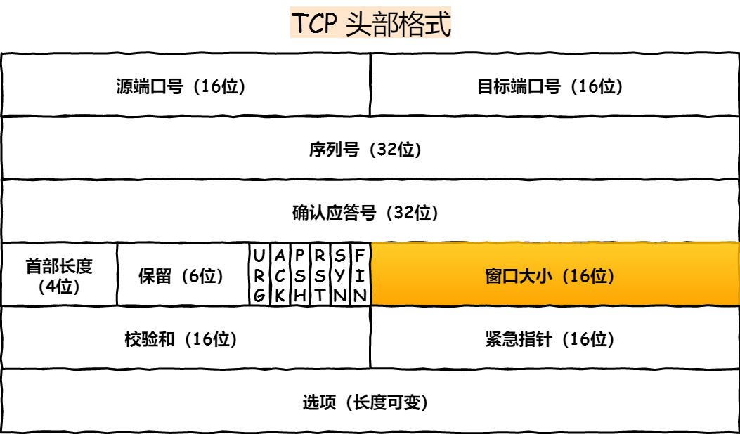 TCP 头部格式