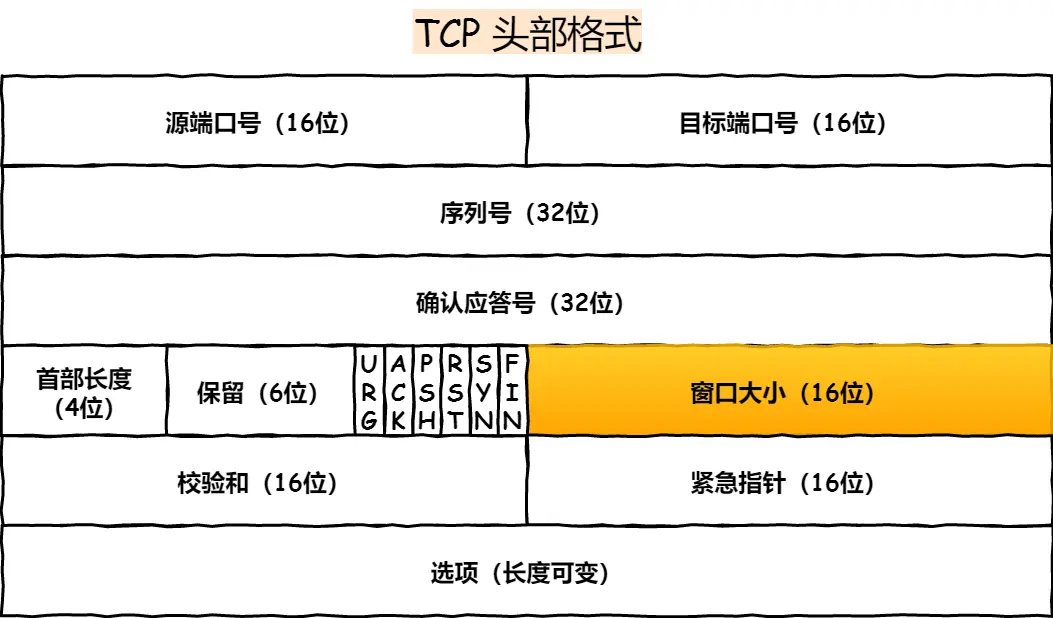 TCP 头部