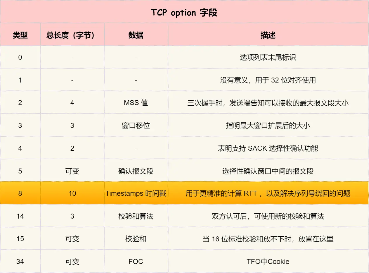 TCP OPTION