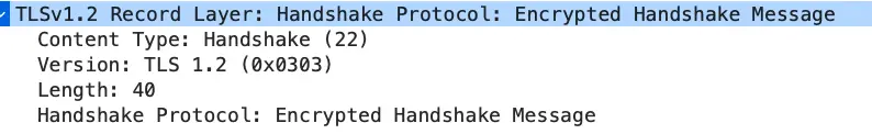 Encrypted Handshake Message