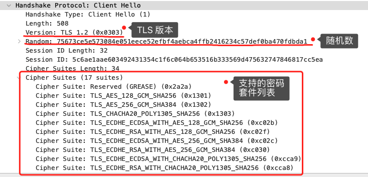 3.3 HTTPS RSA 握手解析 配图