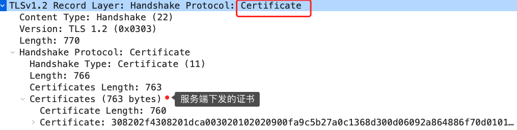 3.4 HTTPS ECDHE 握手解析 配图