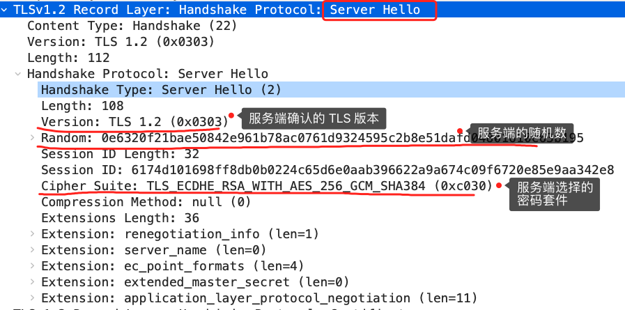 3.4 HTTPS ECDHE 握手解析 配图
